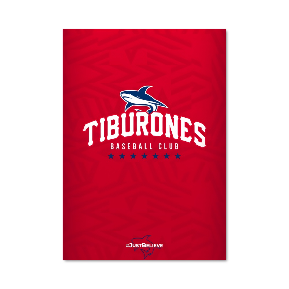 Poster Tiburones NFL